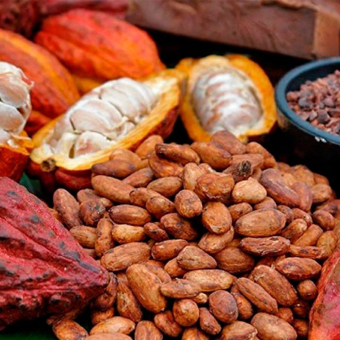 Cacao